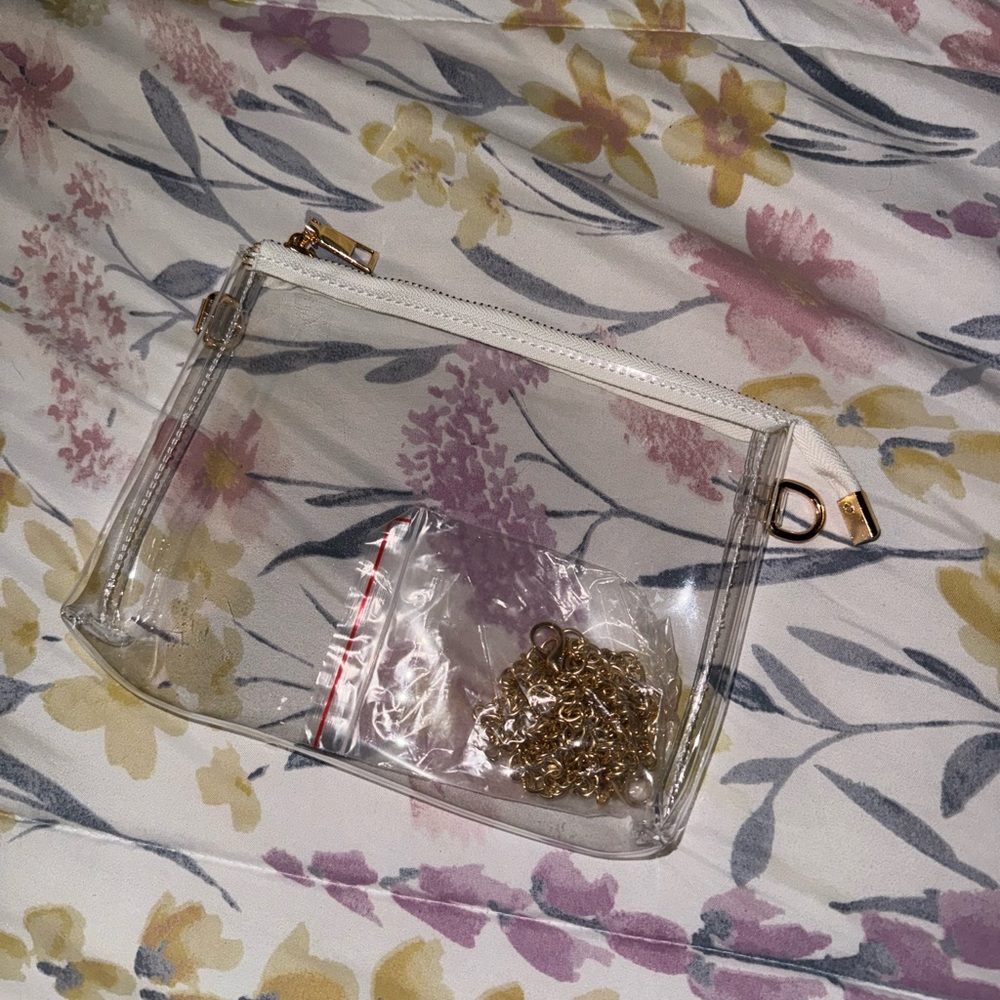 Small Clear Chain Purse